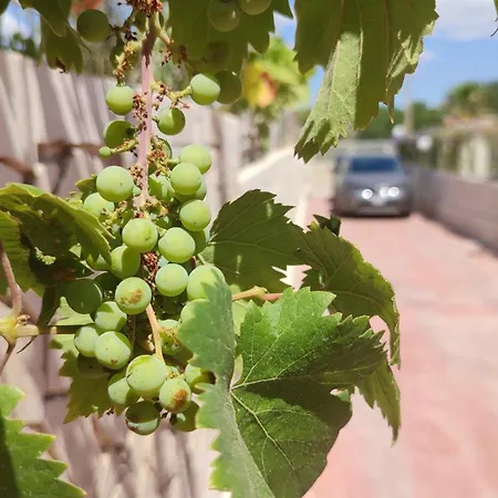 דירה Casavacanze Mashallah *