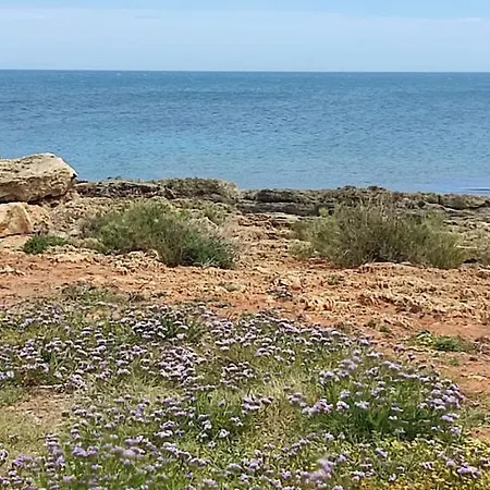 דירה Casavacanze Mashallah רייטאני